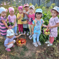 Огород в детском саду. Огород в детском саду.